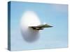 Aircraft Sonic Boom Cloud-u.s. Department of Energy-Stretched Canvas