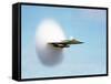 Aircraft Sonic Boom Cloud-u.s. Department of Energy-Framed Stretched Canvas