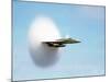 Aircraft Sonic Boom Cloud-u.s. Department of Energy-Mounted Photographic Print