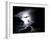 Aircraft Taking Off from Heathrow Passing in Front of Full Moon, London-Purcell-Holmes-Framed Photographic Print