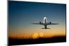 Aircraft Taking Off-PinkBadger-Mounted Photographic Print