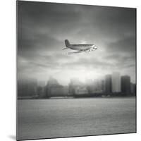 Aircraft-ValentinaPhotos-Mounted Art Print