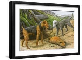 Airdale Terrier and Bedlington Terrier-null-Framed Art Print