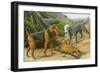 Airdale Terrier and Bedlington Terrier-null-Framed Art Print