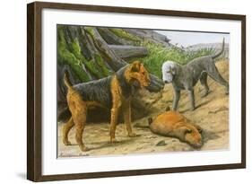 Airdale Terrier and Bedlington Terrier-null-Framed Art Print