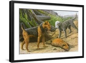 Airdale Terrier and Bedlington Terrier-null-Framed Art Print