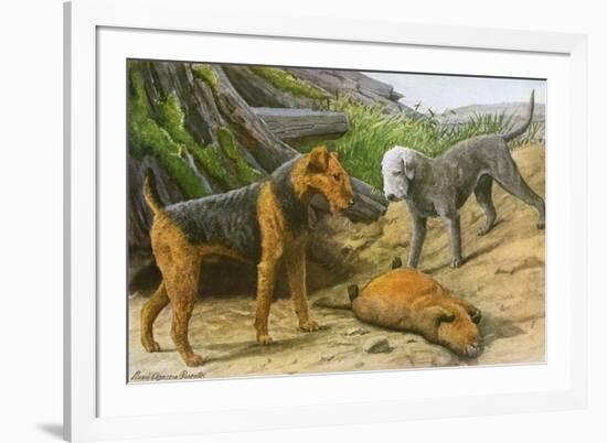 Airdale Terrier and Bedlington Terrier-null-Framed Art Print