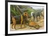 Airdale Terrier and Bedlington Terrier-null-Framed Art Print