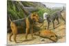 Airdale Terrier and Bedlington Terrier-null-Mounted Art Print