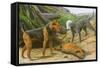 Airdale Terrier and Bedlington Terrier-null-Framed Stretched Canvas