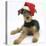 Airdale Terrier Bitch Puppy, Molly, 3 Month, Wearing a Father Christmas Hat-Mark Taylor-Stretched Canvas