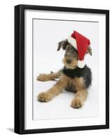 Airdale Terrier Bitch Puppy, Molly, 3 Months Old, Wearing a Father Christmas Hat-Mark Taylor-Framed Photographic Print