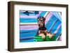 Airedale Puppies in a Green Bucket-Zandria Muench Beraldo-Framed Photographic Print