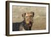 Airedale Terrier 01-Bob Langrish-Framed Photographic Print