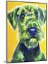 Airedale Terrier - Apple Green-Dawgart-Mounted Giclee Print