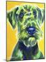 Airedale Terrier - Apple Green-Dawgart-Mounted Giclee Print