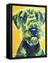 Airedale Terrier - Apple Green-Dawgart-Framed Stretched Canvas