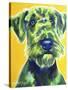 Airedale Terrier - Apple Green-Dawgart-Stretched Canvas