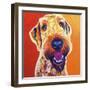 Airedoodle - Hank-Dawgart-Framed Giclee Print