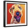 Airedoodle - Hank-Dawgart-Framed Giclee Print