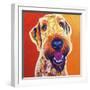 Airedoodle - Hank-Dawgart-Framed Giclee Print