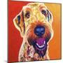 Airedoodle - Hank-Dawgart-Mounted Giclee Print