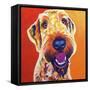 Airedoodle - Hank-Dawgart-Framed Stretched Canvas