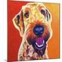 Airedoodle - Hank-Dawgart-Mounted Giclee Print