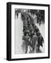 Airforce Cadets Walking in Rows (B&W)-Hulton Archive-Framed Photographic Print