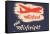 Airfresh Via Airfreight-null-Framed Stretched Canvas