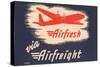 Airfresh Via Airfreight-null-Stretched Canvas