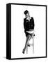 Airhostess-null-Framed Stretched Canvas
