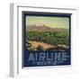 Airline Brand - Fillmore, California - Citrus Crate Label-Lantern Press-Framed Art Print