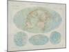 Airline Routes of the World-The Vintage Collection-Mounted Giclee Print