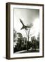 Airliner Above Residential Area-null-Framed Photographic Print