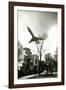 Airliner Above Residential Area-null-Framed Photographic Print