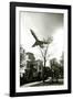Airliner Above Residential Area-null-Framed Photographic Print
