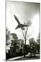 Airliner Above Residential Area-null-Mounted Photographic Print