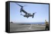 Airman Directs the Take-Off an MV-22 Osprey-null-Framed Stretched Canvas