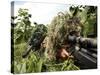 Airmen Hidden in Brush Wearing Their Ghille Suits-Stocktrek Images-Stretched Canvas