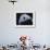 Airmen Jump Out of an Hc-130 Hercules over Djibouti-Stocktrek Images-Framed Photographic Print displayed on a wall