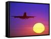 Airplane at Sunset-Mitch Diamond-Framed Stretched Canvas