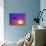 Airplane at Sunset-Mitch Diamond-Stretched Canvas displayed on a wall