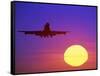 Airplane at Sunset-Mitch Diamond-Framed Stretched Canvas