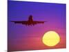 Airplane at Sunset-Mitch Diamond-Mounted Photographic Print