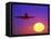 Airplane at Sunset-Mitch Diamond-Framed Stretched Canvas