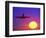 Airplane at Sunset-Mitch Diamond-Framed Photographic Print