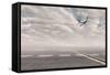 Airplane At The Airport-xavigm-Framed Stretched Canvas