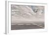 Airplane At The Airport-xavigm-Framed Photographic Print
