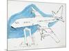 Airplane, c. 1959-Andy Warhol-Mounted Art Print